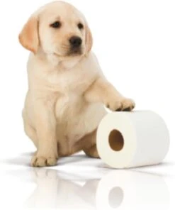 Page Toiletpapier - 32 Rollen - Kussenzacht Wc Papier (3-laags) - Voordeelverpakking -Schoonmaakartikelen Winkel 1001x1200