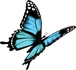 Robijn Klein & Krachtig Wasmiddel Black Velvet 1,19 Liter -Schoonmaakartikelen Winkel 1200x1118 1