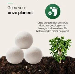 Tenify 6 XL Drogerballen + Extra Lavendel Olie - Wasbollen - Duurzaam - Schaapswol - Wasverzachter - Wasdrogerballen - Herbruikbare Droogballen - Energie Besparen -Schoonmaakartikelen Winkel 1200x1188 8