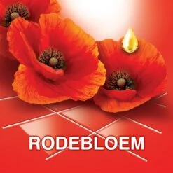 Ajax® Ajax Allesreiniger Fête Des Fleur Rode Bloem 8 X 1L - Voordeelverpakking 14 Ajax® Ajax Allesreiniger Fête Des Fleur Rode Bloem 8 X 1L - Voordeelverpakking -Schoonmaakartikelen Winkel 1200x1200 1001