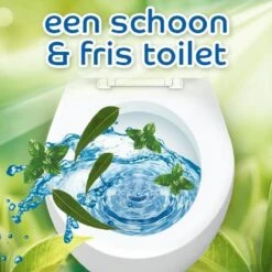 Witte Reus Pro Nature Munt Eucalyptus - 10 Stuks -Schoonmaakartikelen Winkel 1200x1200 1166