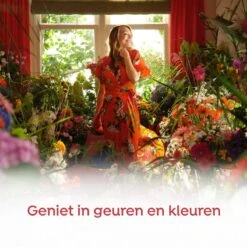 Robijn Klein & Krachtig Rosé Chique Vloeibaar Wasmiddel - 8 X 19 Wasbeurten - Voordeelverpakking 12 Robijn Klein & Krachtig Rosé Chique Vloeibaar Wasmiddel - 8 X 19 Wasbeurten - Voordeelverpakking -Schoonmaakartikelen Winkel 1200x1200 30