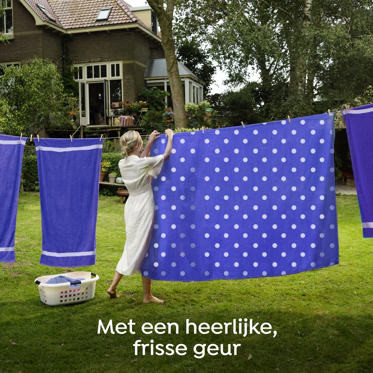 Robijn Specials Stip En Streep Wasverzachter - 8 X 30 Wasbeurten - Voordeelverpakking 7 Robijn Specials Stip En Streep Wasverzachter - 8 X 30 Wasbeurten - Voordeelverpakking - Afbeelding 5