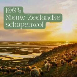 Miki's Goods® XL Wollen Drogerballen 6 Stuks - Panda Wasballen - Duurzaam - Wasbol - 100% Nieuw-Zeelandse Schapenwol - Wasbollen - Herbruikbaar- Droogballen - Snellere Droogtijd - Zuigt Dierenharen Op -Schoonmaakartikelen Winkel 1200x1200 533