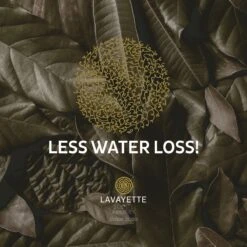 Lavayette XL Drogerballen Met 25ml Wasparfum - WasdrogerBallen – Droogballen – Wasbol – 100% Nieuw-Zeelands Schapenwol – Milieu- En Diervriendelijk – 6 Stuks 22 Lavayette XL Drogerballen Met 25ml Wasparfum - WasdrogerBallen – Droogballen – Wasbol – 100% Nieuw-Zeelands Schapenwol – Milieu- En Diervriendelijk – 6 Stuks -Schoonmaakartikelen Winkel 1200x1200 569