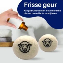 Waspakket - 6 Drogerballen - 2 Wasbollen - Maatschepje - Wasdoekje - Doseerbol - Wasbol - Doseerbollen -Schoonmaakartikelen Winkel 1200x1200 602