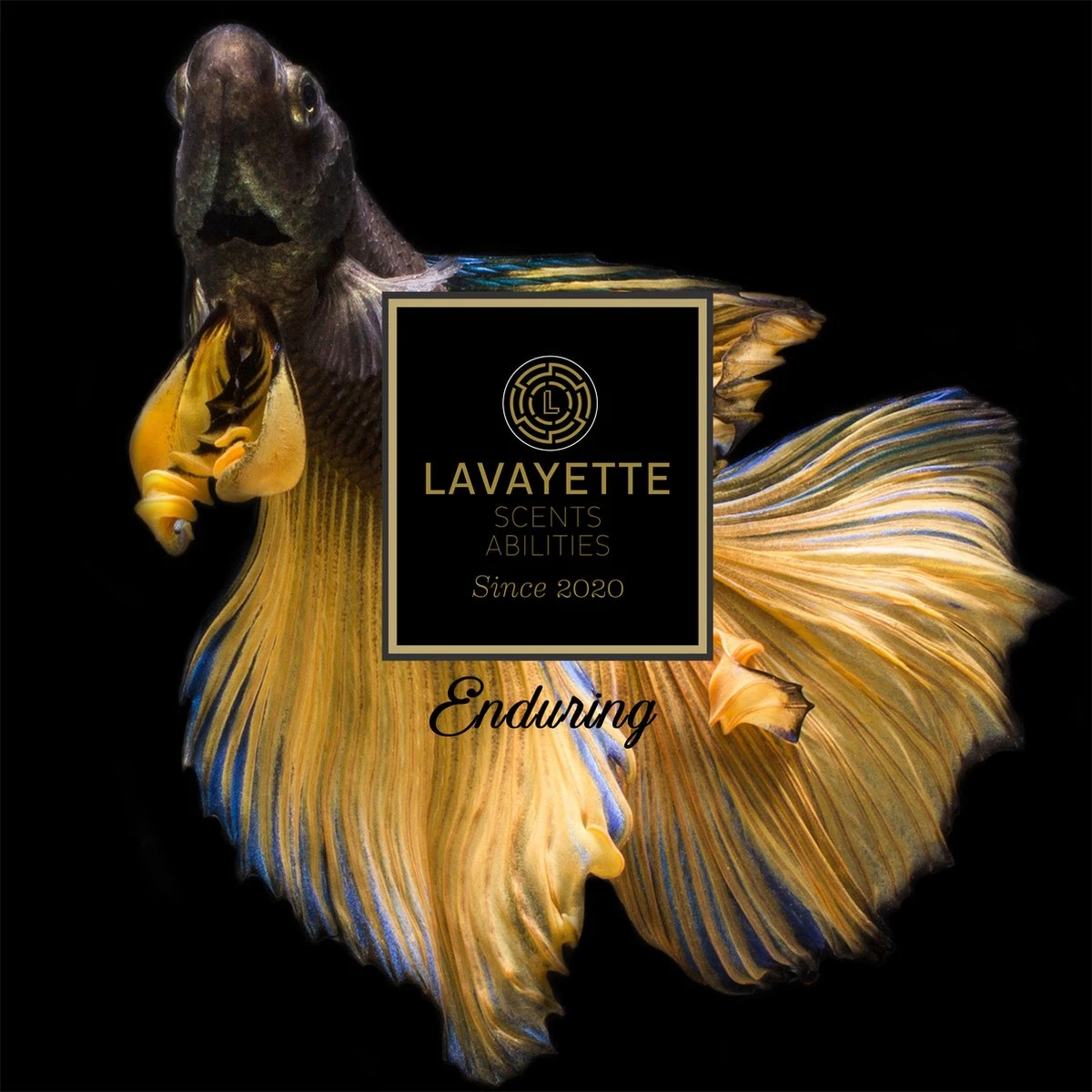 Lavayette Premium Wasparfum 2in1 - Double Fun & Jasmine Shades - Geurbooster 9 Lavayette Premium Wasparfum 2in1 - Double Fun & Jasmine Shades - Geurbooster - Afbeelding 7