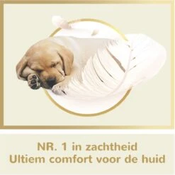 Page Puur Toiletpapier - 24 Rollen - Extra Duurzaam Wc Papier - Voordeelverpakking -Schoonmaakartikelen Winkel 1200x1200 650