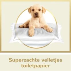 Page Puur Toiletpapier - 24 Rollen - Extra Duurzaam Wc Papier - Voordeelverpakking -Schoonmaakartikelen Winkel 1200x1200 651