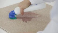 Dr. Beckmann Tapijtvlekkenborstel - Tapijtreiniging - Tapijt Vlekverwijderaar Met Borstel - Schoon Tapijt - Dierenvlekkenverwijderaar -Schoonmaakartikelen Winkel 1200x674