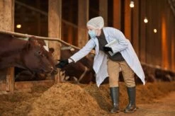 ANSELL MICROFLEX® 93-732 - Nitril Wegwerp Handschoenen, Latexvrij, Poedervrij, S, Zwart, 100 Stuks (0.7-0.11mm) -Schoonmaakartikelen Winkel 1200x799 18