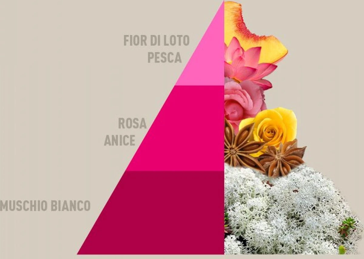 Horomia Wasparfum Muschi-e-Loto - 500ml 4 Horomia Wasparfum Muschi-e-Loto - 500ml - Afbeelding 2