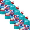 Glorix Extended Power Eucalyptus Bleek Javel 6x750ML -Schoonmaakartikelen Winkel 750x1200 2