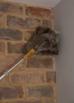 Plumeau Met Struisvogelveren, Bruin - KitchenCraft | Living Nostalgia 13 Plumeau Met Struisvogelveren, Bruin - KitchenCraft | Living Nostalgia -Schoonmaakartikelen Winkel 856x1200 2